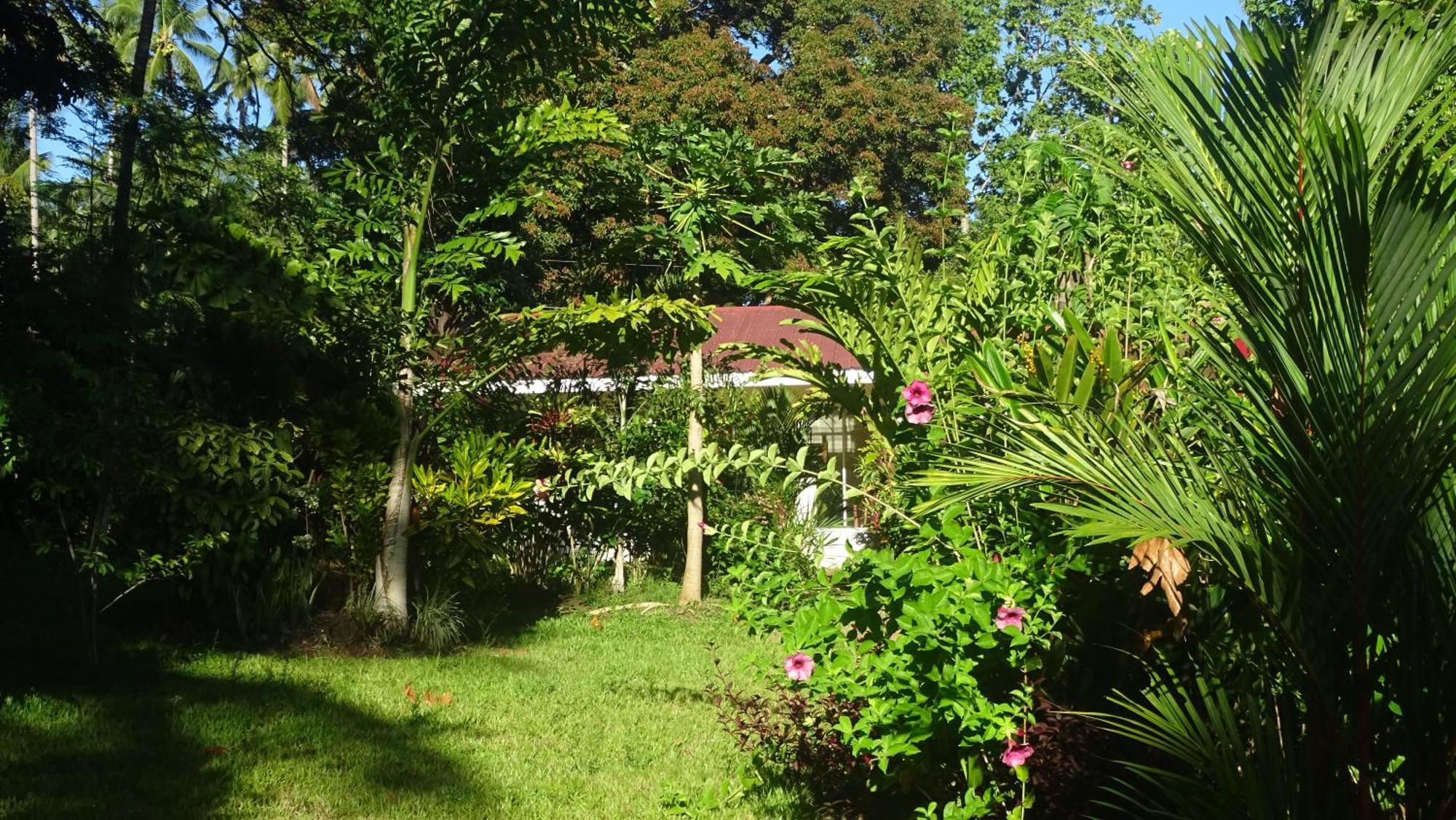 Acacia'S Cottages With Starlink Wifi Mambajao Exterior foto